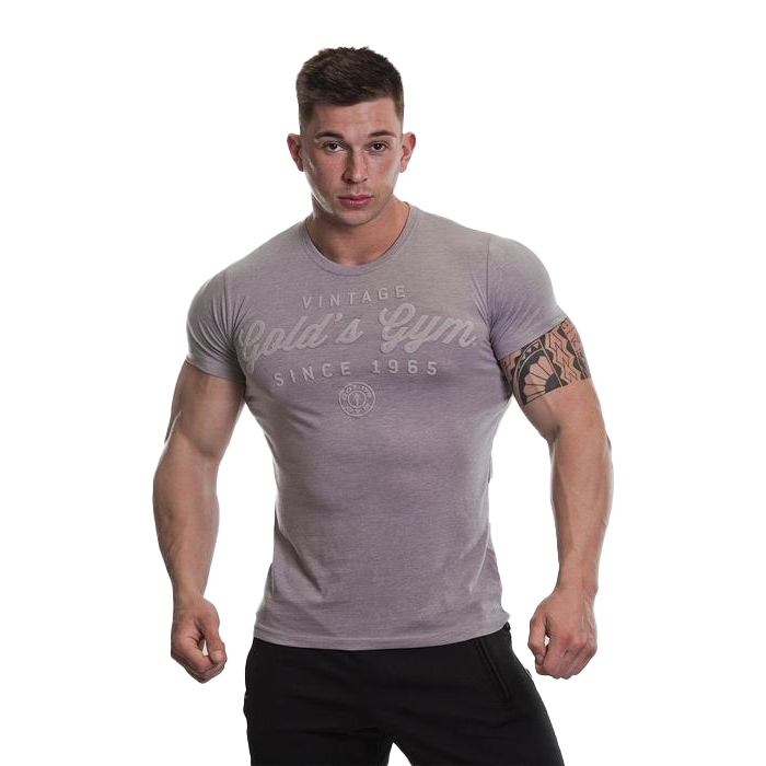 Gold's Gym Vintage Print T-Shirt Grey