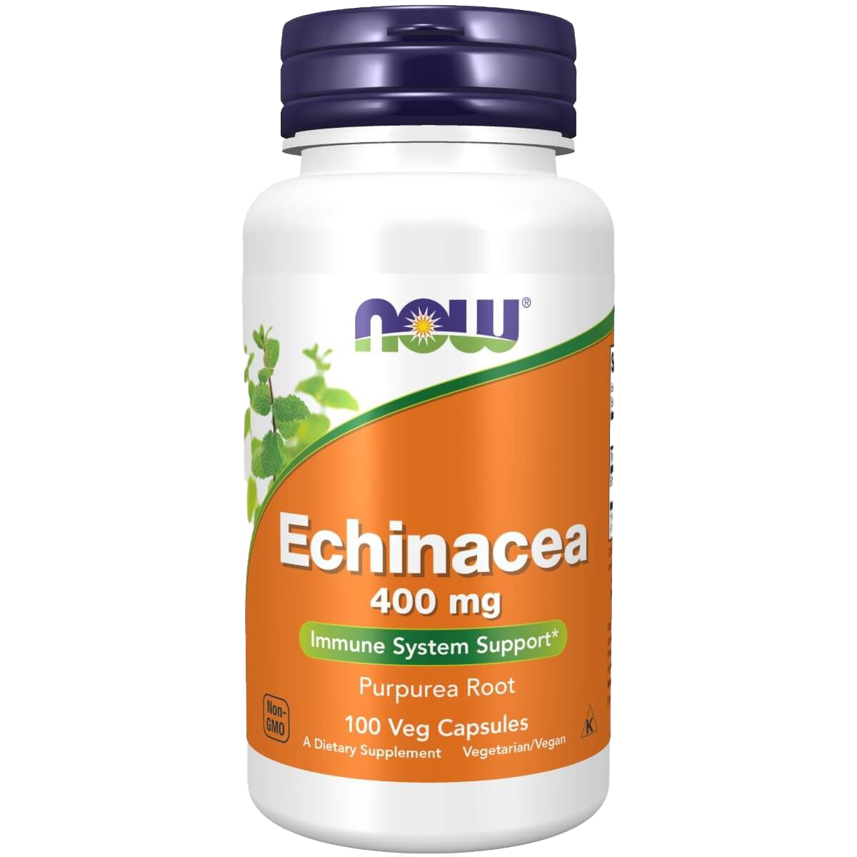 Echinacea