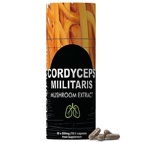 Feel Supreme Cordyceps 60Veg Caps - Health Foods at MySupplementShop by Feel Supreme